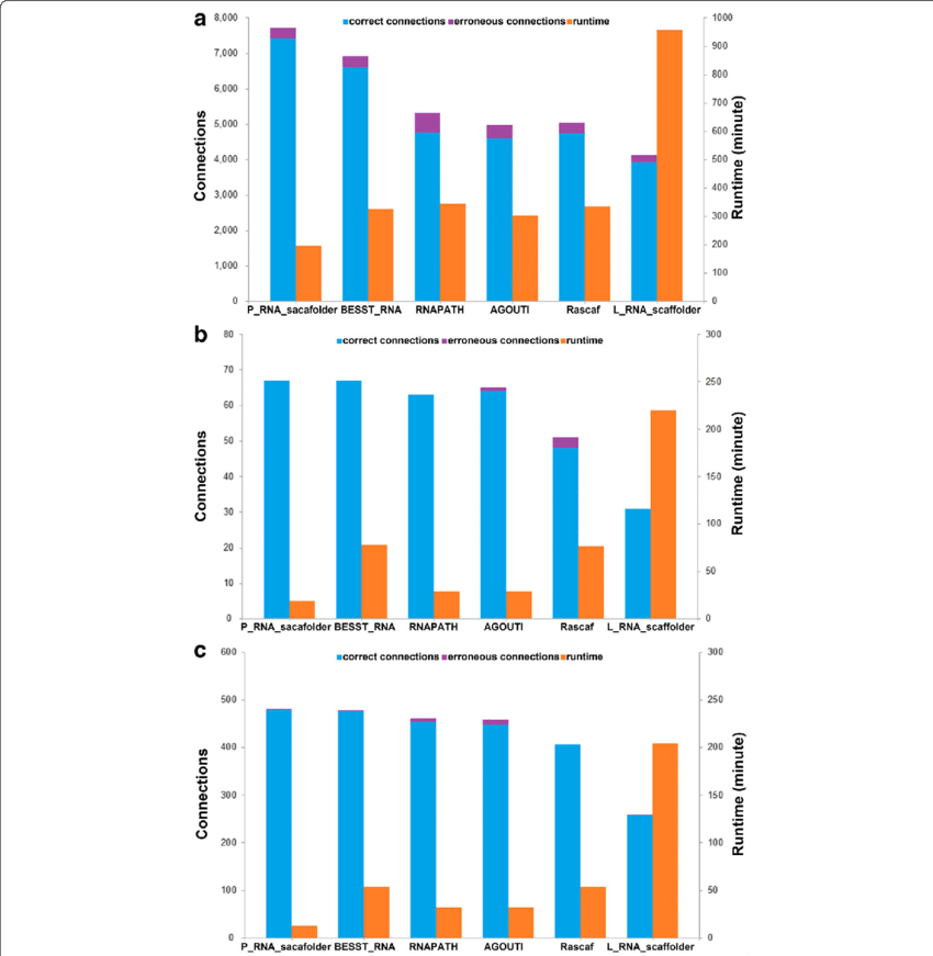 The Scaffolding Connection Number, Accuracy And Runtime (850x871), Png Download