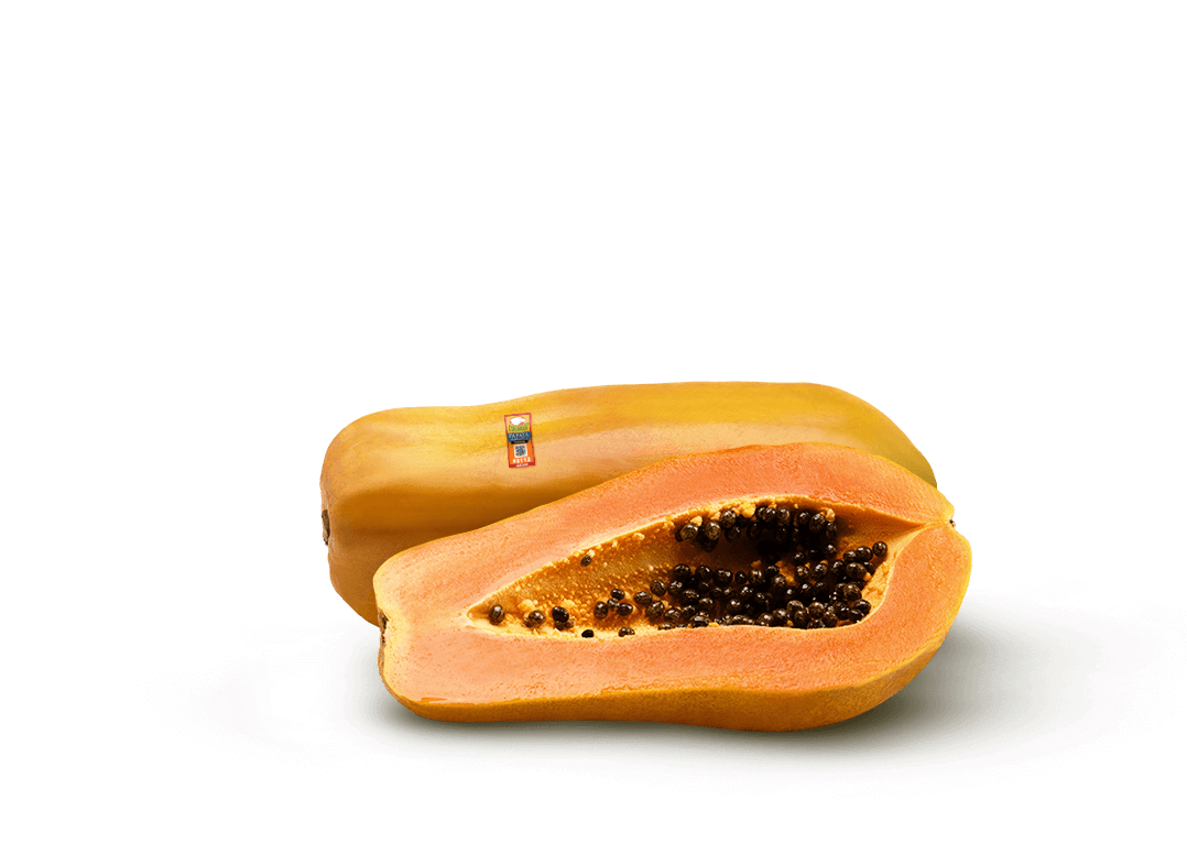 Contact Us - Papaya (1092x815), Png Download