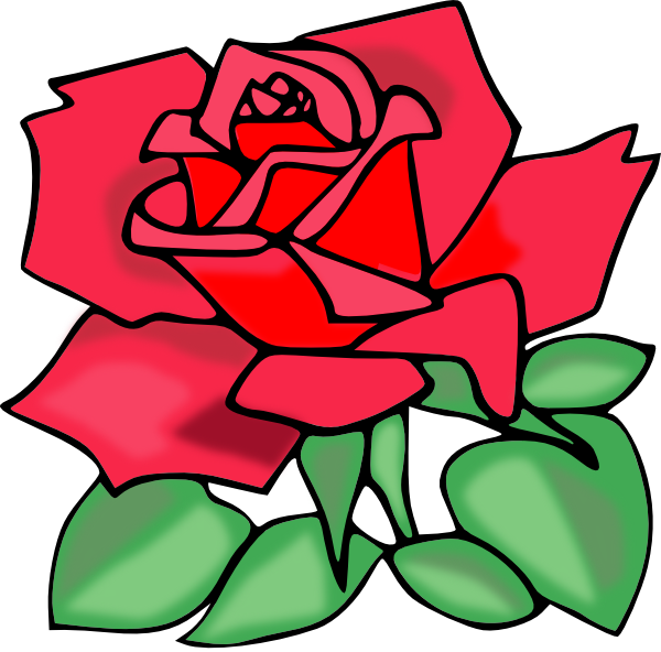 Printable Pink Rose Border - Rose Transparent Clip Art (600x592), Png Download