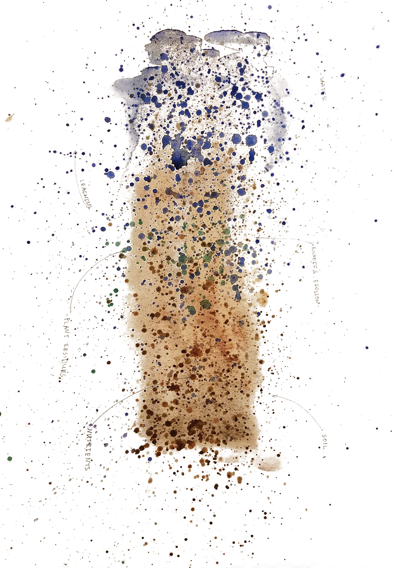 Field Notes Study - Sketch (1358x1958), Png Download