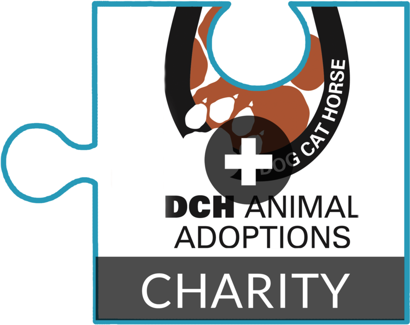 Puzzle Pieces Pics 222 (1000x1007), Png Download