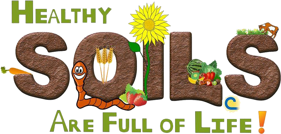 Healthy Soils Are Full Of Life Is The Stewardship Theme - World Soil Day 2017 Theme (1345x868), Png Download