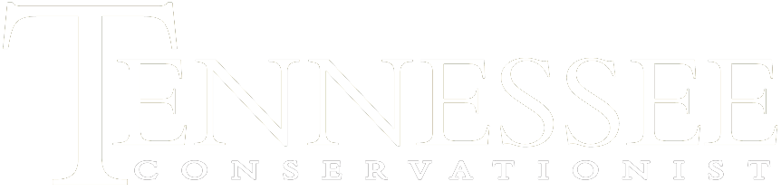 Connecting You With Tennessee's Environment, Culture, - Next (882x230), Png Download