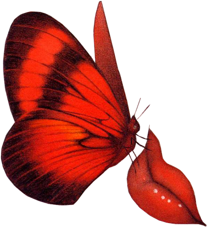 Download Clipart Butterflies - Red Butterfly Animation PNG Image with No  Background 