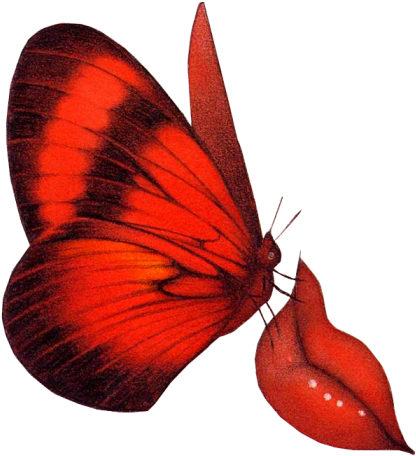 Clipart Butterflies - Red Butterfly Animation (455x490), Png Download