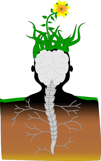 Plant, Brain, Spine, Human, Mutant, Flower, Soil - Best Name Shirt For A1554 Viney Special Top/sweater/mug (401x640), Png Download