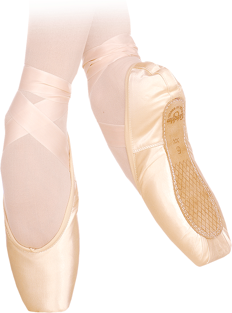 Grishko Pro 2007 Pointe Shoe (898x1050), Png Download