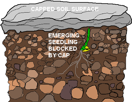 Capped Soil - Soil Surface Capping (444x350), Png Download
