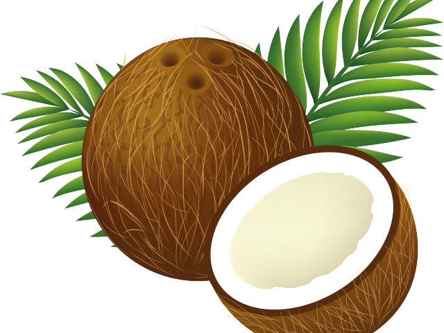 Coconut Clipart Luau - Coconut Clipart (640x480), Png Download