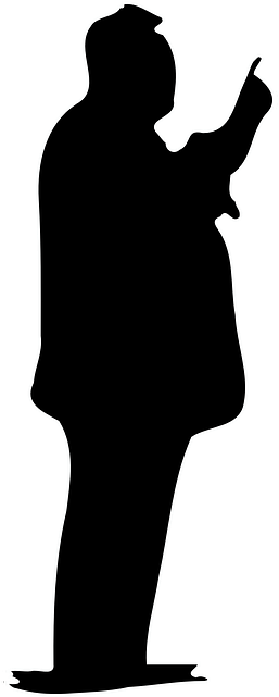 Silhouette, Person, Present, Business, Presenting - Person Silhouette (320x640), Png Download