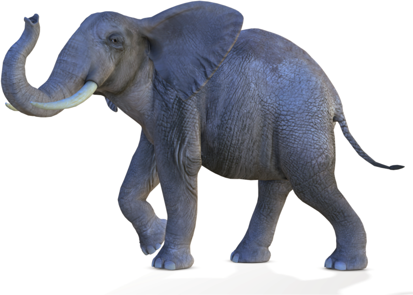 African Elephant Png - Elephant Picsart Background Png (900x655), Png Download