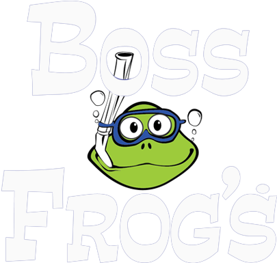 Maui Hawaii Luau - Poster (500x422), Png Download