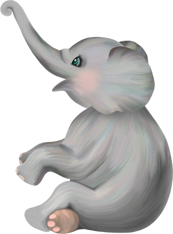 Baby Elephant Png Images - سكرابز فيل (592x800), Png Download