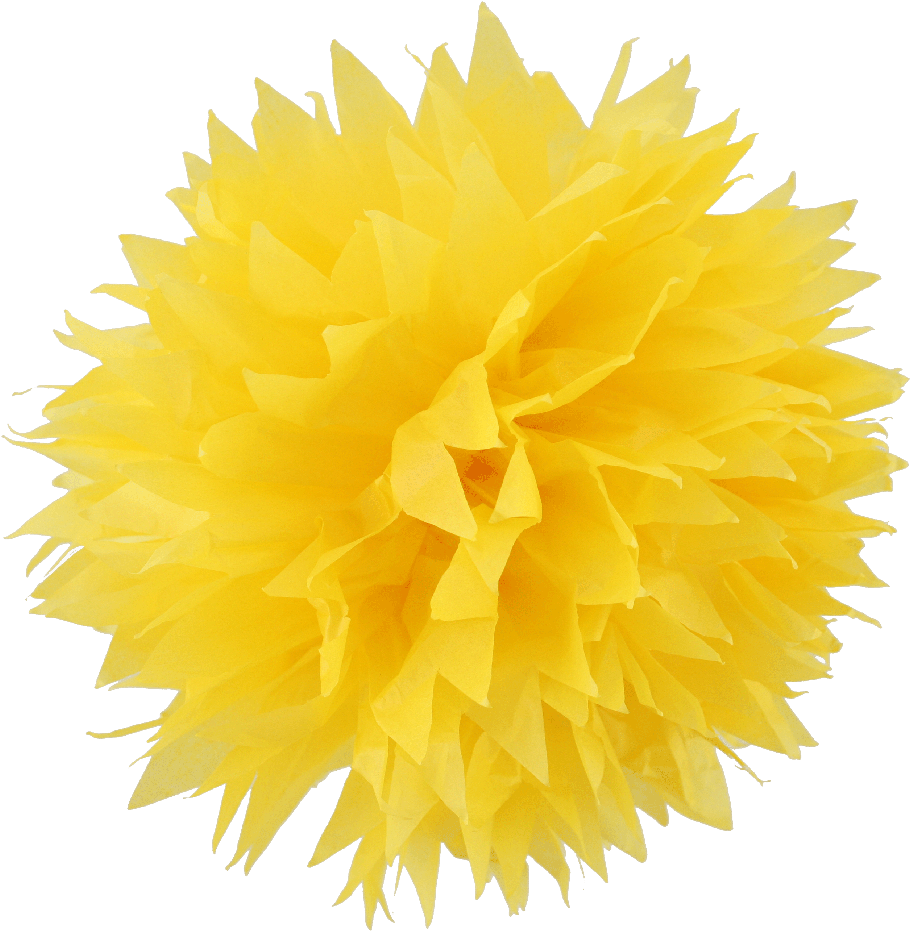 Yellow Pom Poms (1000x995), Png Download