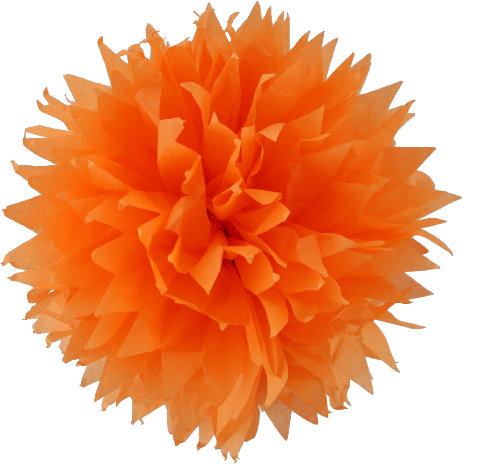 Orange Pom Pom Png (1000x987), Png Download