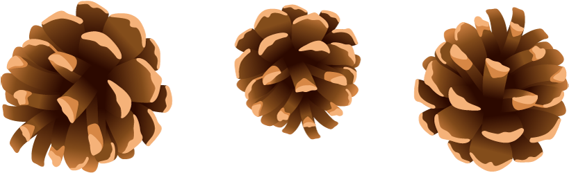Pine Cones Png Gallery Yopriceville High Quality - Christmas Pine Cone Png (840x274), Png Download