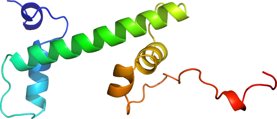 Graphic Design (899x388), Png Download