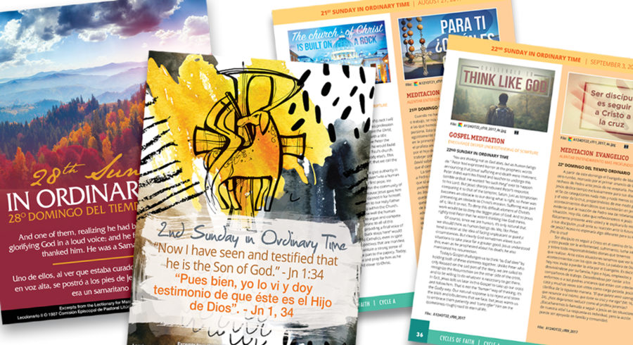 Graphic Design - Art (900x490), Png Download