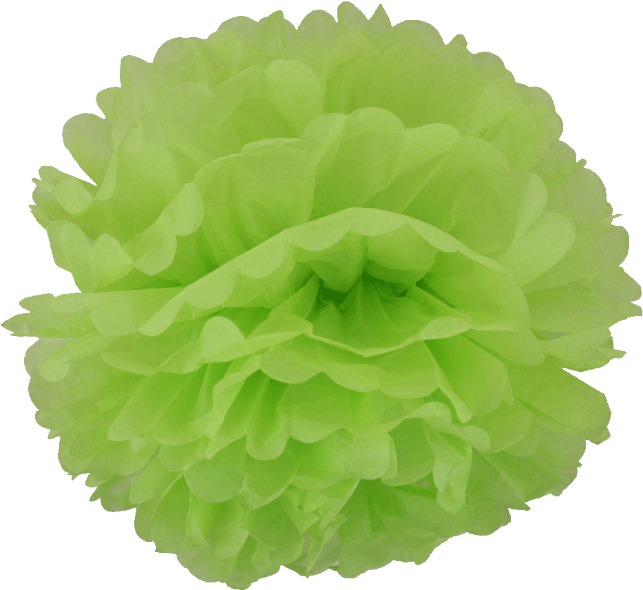 Pom-pom (1000x929), Png Download