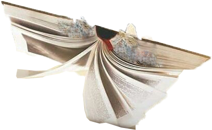 Book Png - Ring (720x891), Png Download