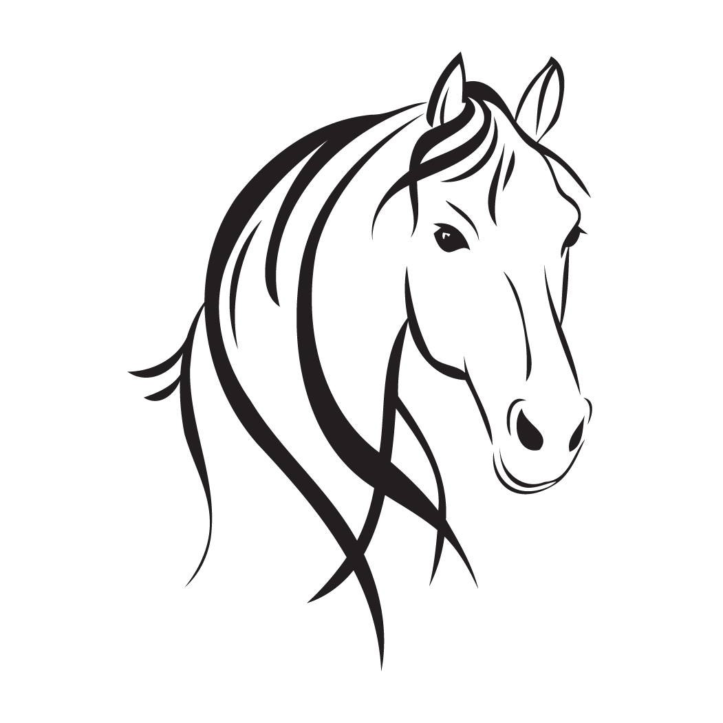 Horse Head Style - Horse Head Drawing (1051x1051), Png Download