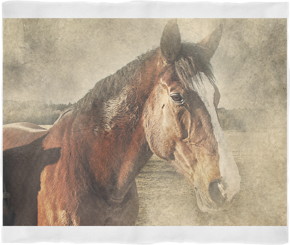 Wild Horse Notebook / Journal (1024x1024), Png Download