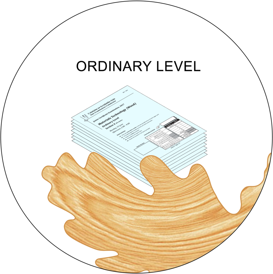 Ordinary Level Exam Thumb - Portable Network Graphics (1000x1000), Png Download