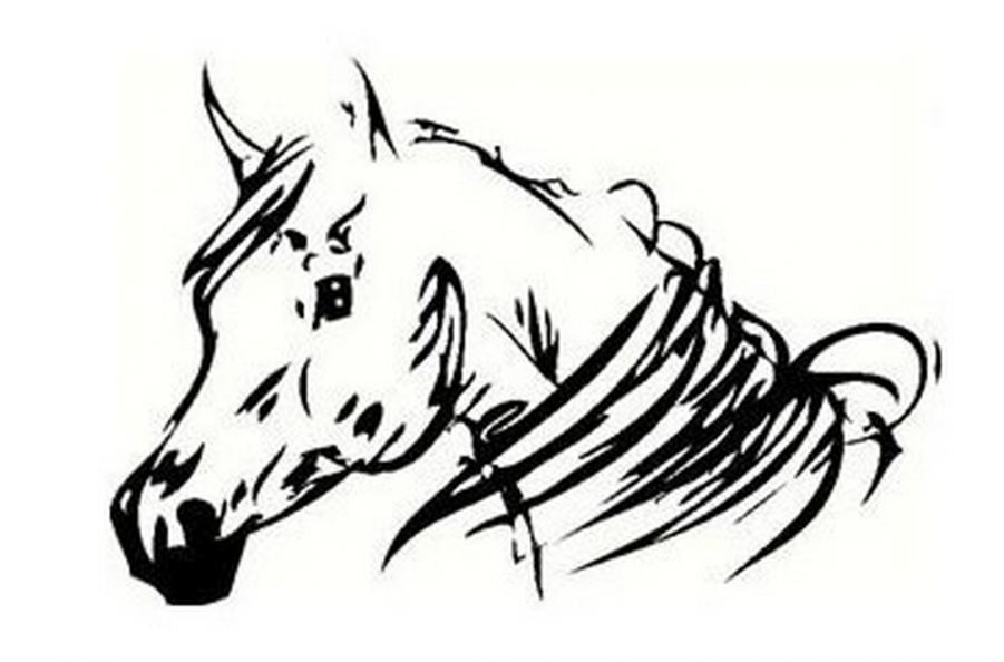 Horse Sketches (900x900), Png Download