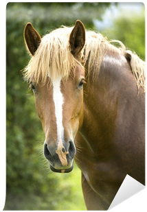 Photograph (400x400), Png Download