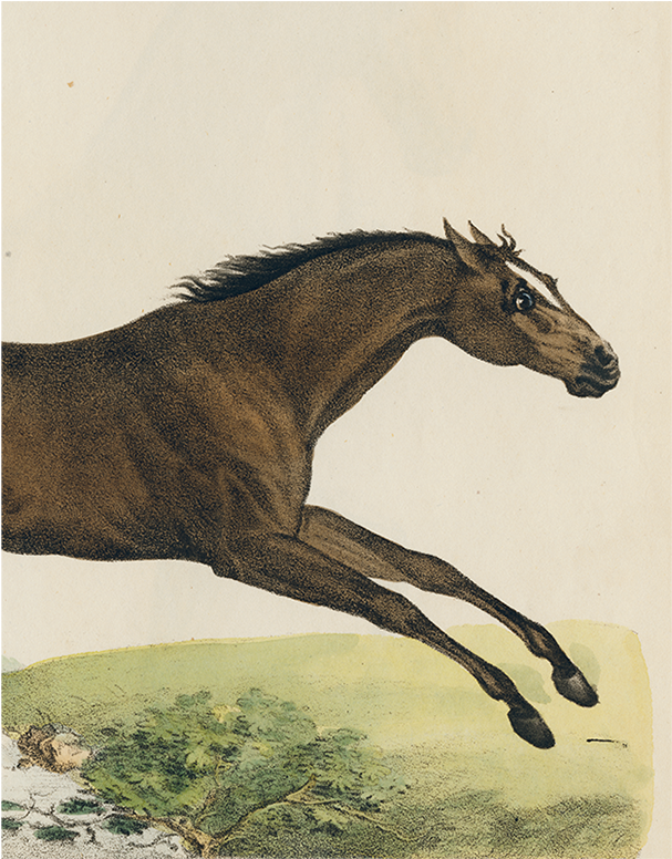 025 04f4779f Adc6 4b15 8a39 F5f2ecd4edf9 V=1527799940 - John Derian (800x800), Png Download