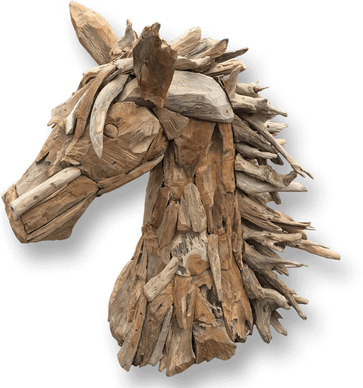 Teak Root Horse Head Sculpture - Driftwood Horse (800x800), Png Download