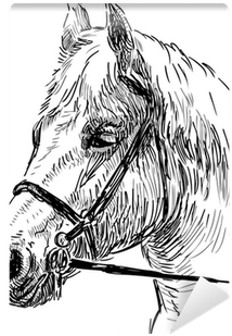 Horse (400x400), Png Download