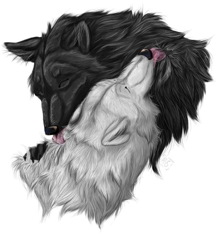 Wolf Kisses By Luvmymitzi-d4r0lj0 - Digital Art (720x960), Png Download