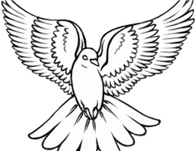 Dove Tattoo Png (640x480), Png Download