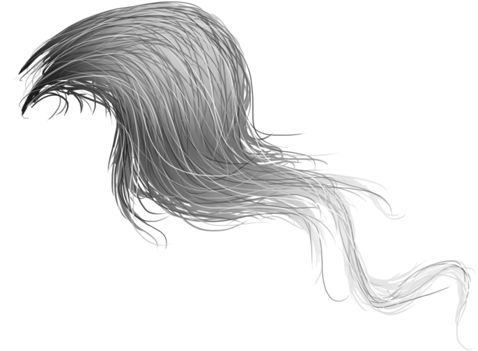 Horse Hair Png - Sketch Of Horse Hair (1024x569), Png Download