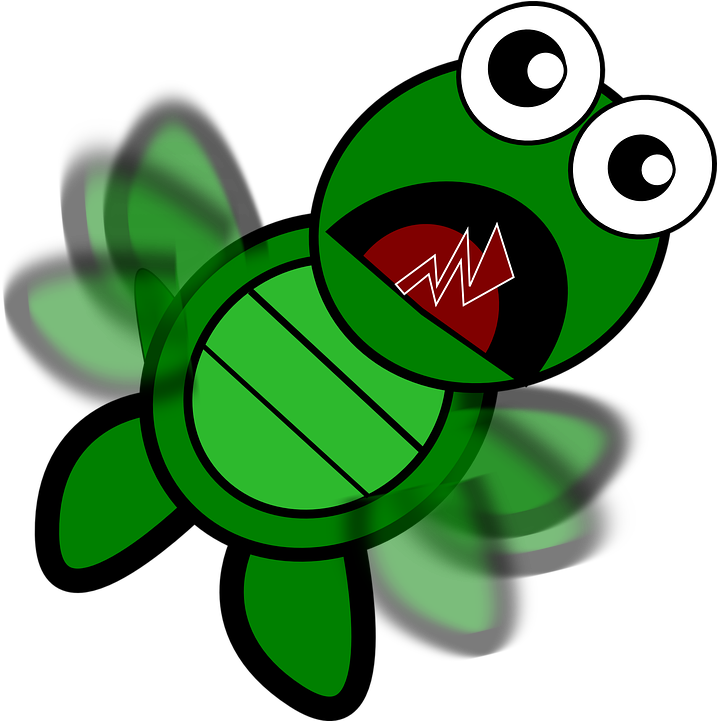 Download Turtle Png Transparent Images Transparent - Turtle Flapping (733x720), Png Download