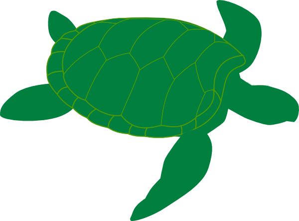 Sea Turtle Clipart - Green Sea Turtle Clip Art (600x445), Png Download