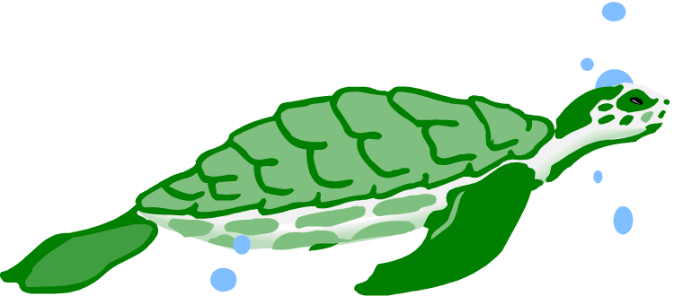 Turtles Clip Art - Turtle Water Clipart (750x330), Png Download
