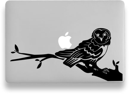 The Perfect Choice For - Cute Barn Owl Sticker (433x317), Png Download