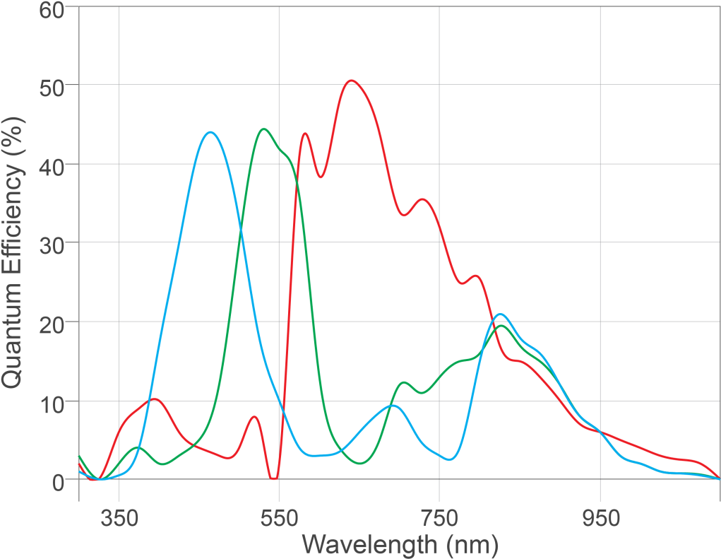 Osprey Rgb (1024x798), Png Download
