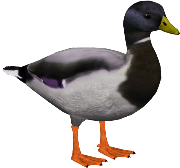 Mallard M4 (610x610), Png Download