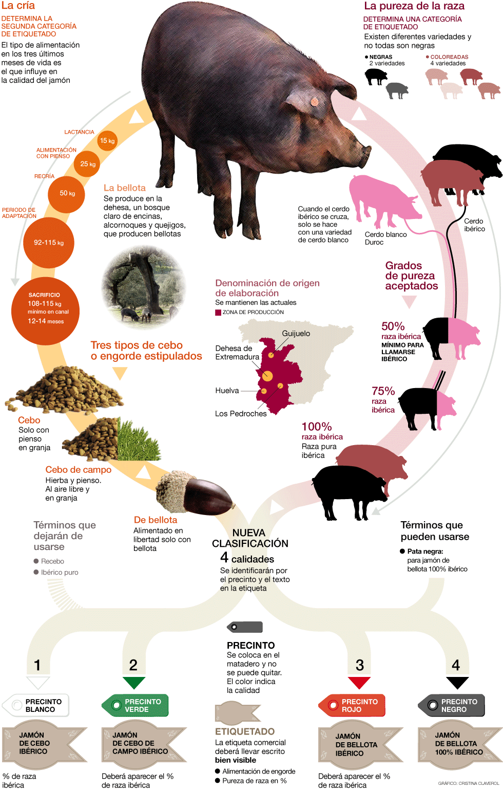 Juangabriel Garcia Gomez Ha Recomendado Esto (980x1535), Png Download
