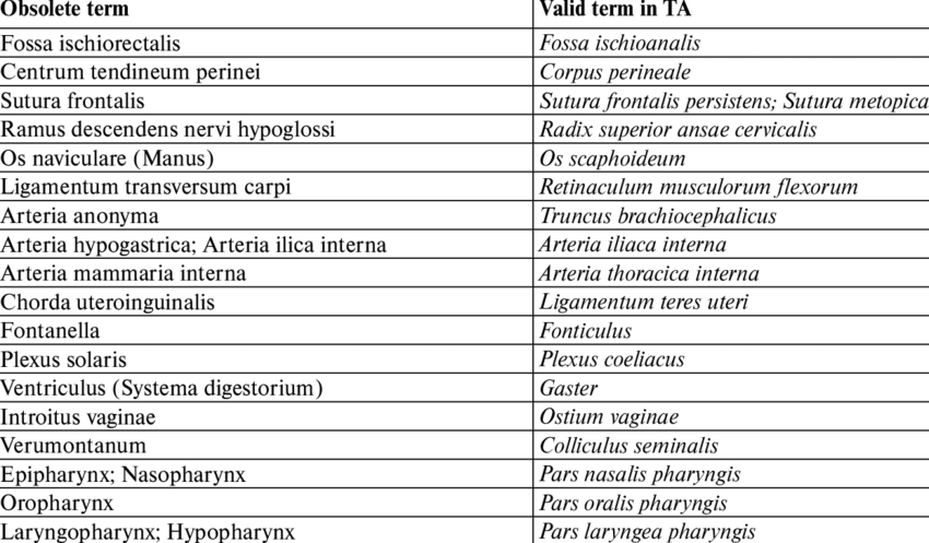 The Comparison Of The Obsolete Terms From Previous (850x497), Png Download