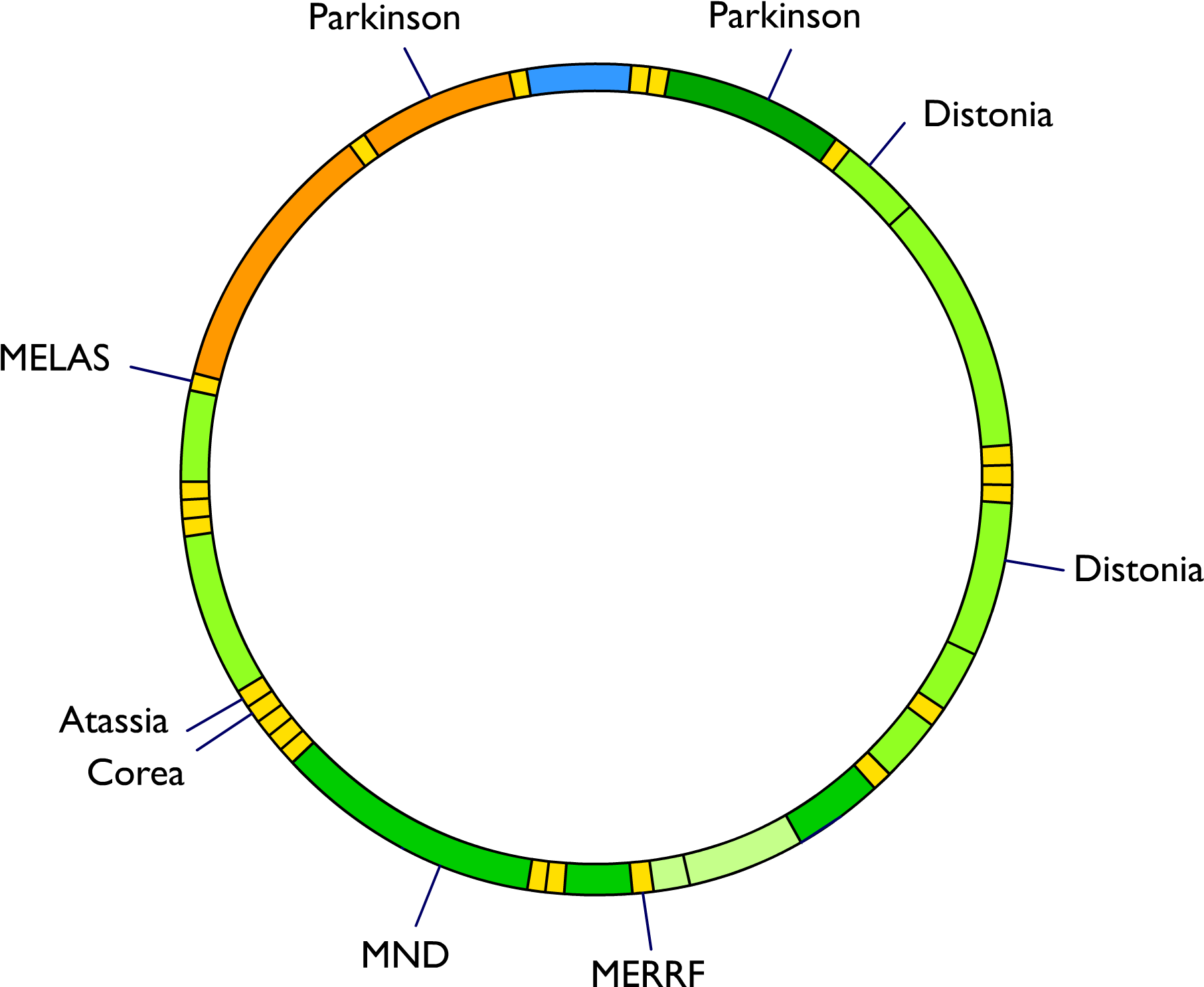Mitochondrial Dna And Diseases (1855x1537), Png Download