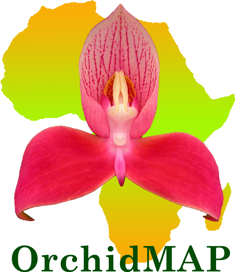 [inmage Size Reduced] (850x1000), Png Download