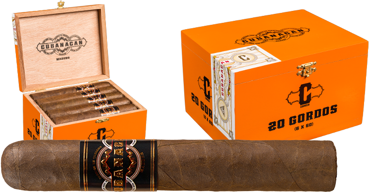 20 M Gordo (800x400), Png Download