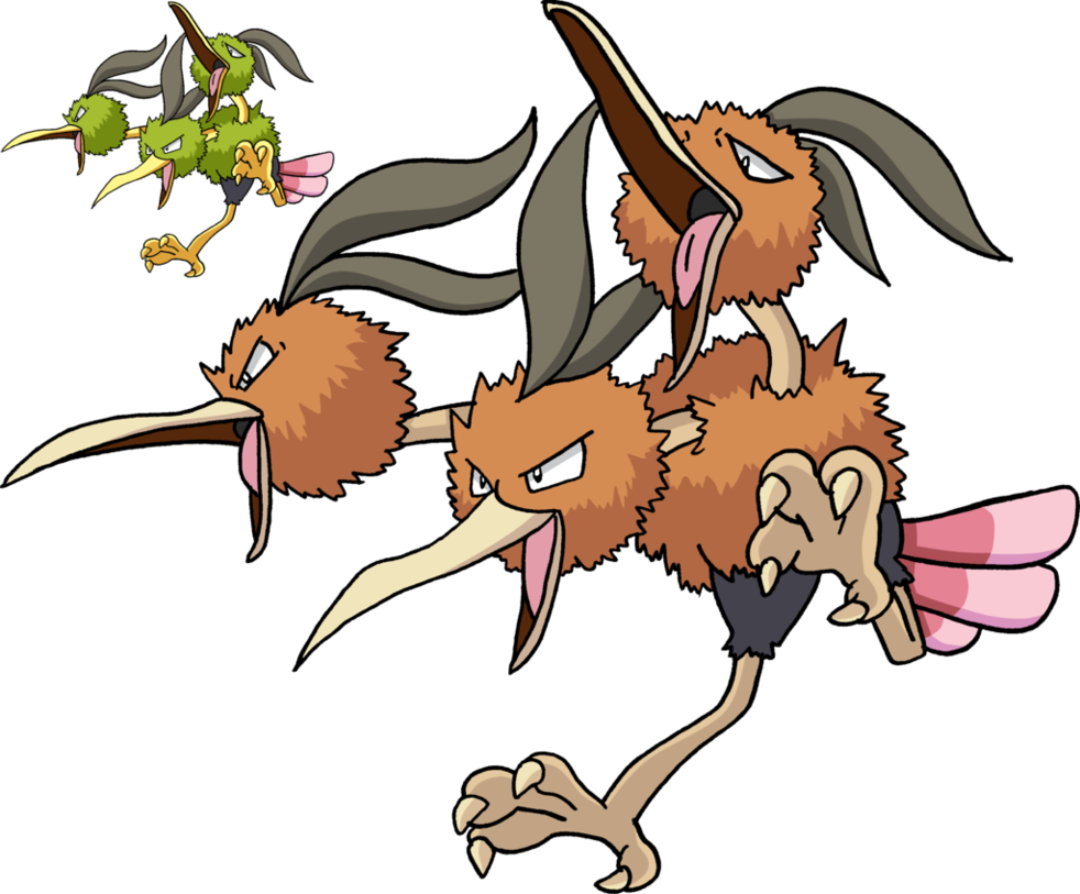 Png (982x813), Png Download