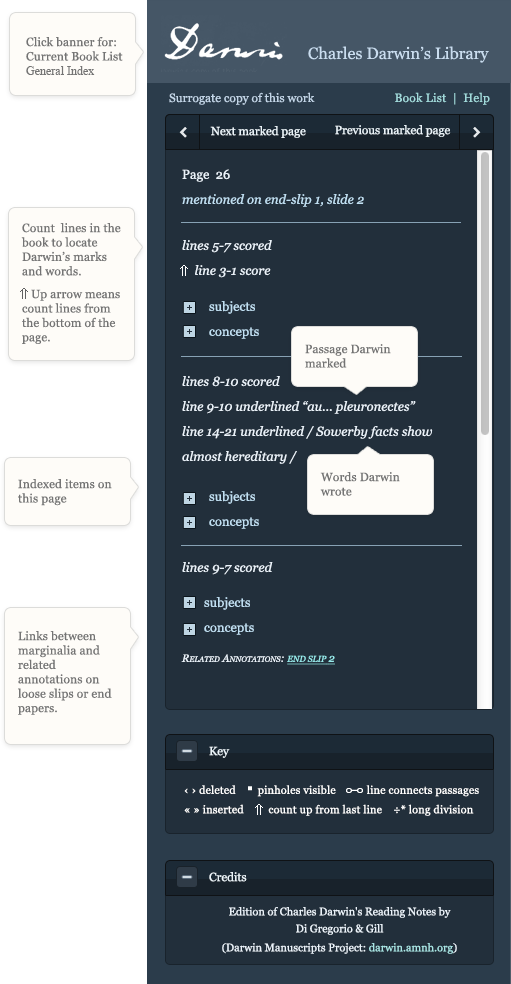 Entries In The Pane Have Line Numbers, Such As Lines (511x984), Png Download
