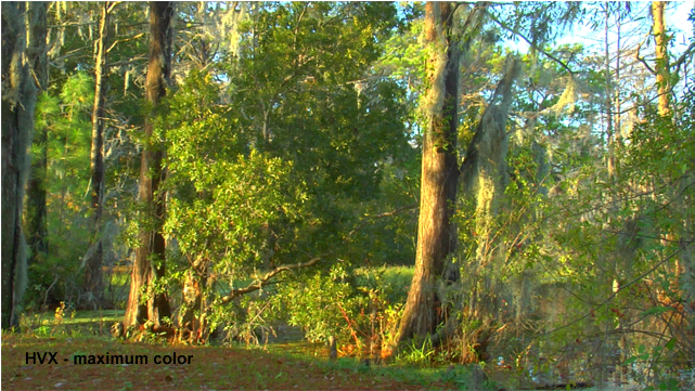 Panasonic Color Out Of It, But If You Can Tailor The (640x720), Png Download