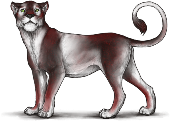 Demonic Soft Unders (640x500), Png Download